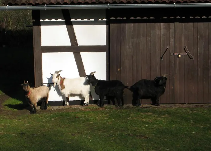 Ferienwohnung Hubner